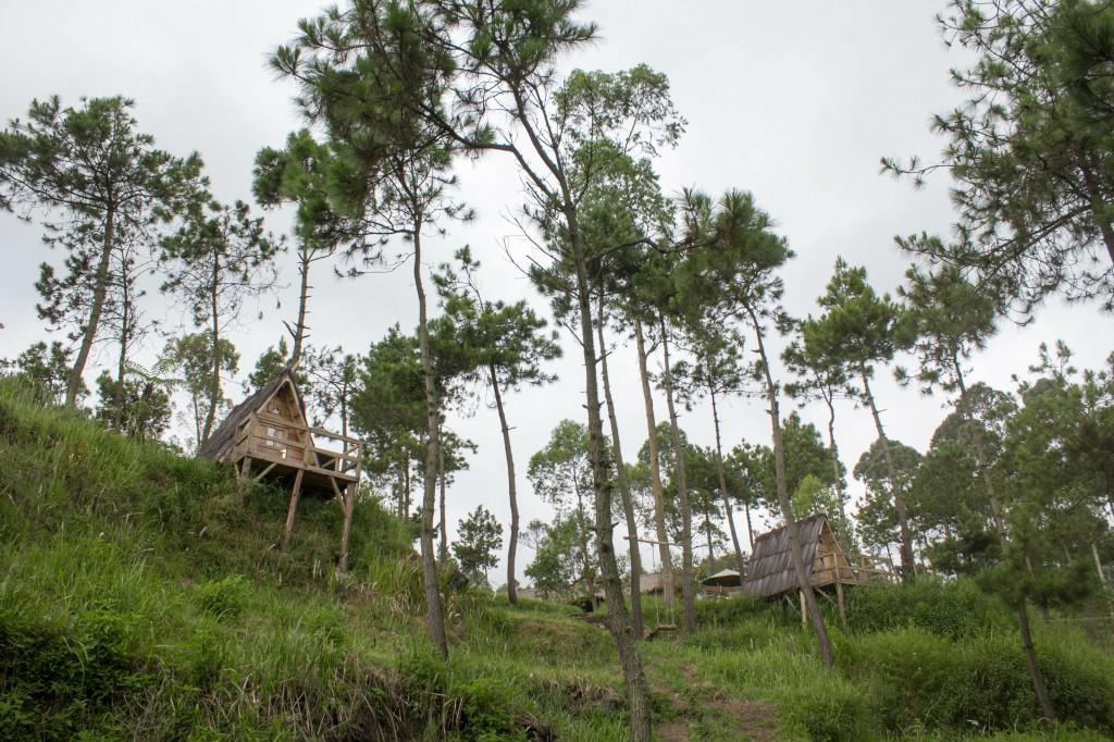 Papandayan Camping Ground Hotel Cileuleuy Kültér fotó