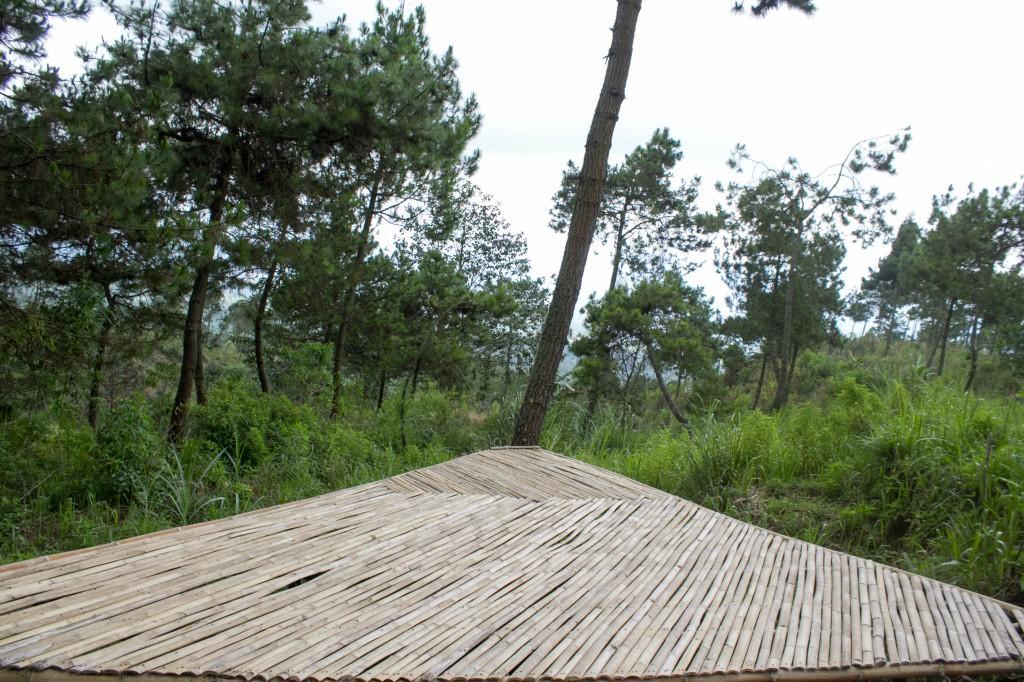 Papandayan Camping Ground Hotel Cileuleuy Kültér fotó