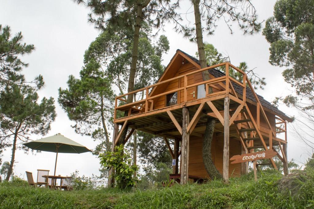 Papandayan Camping Ground Hotel Cileuleuy Kültér fotó