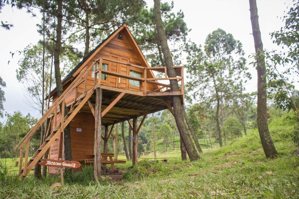 Papandayan Camping Ground Hotel Cileuleuy Kültér fotó