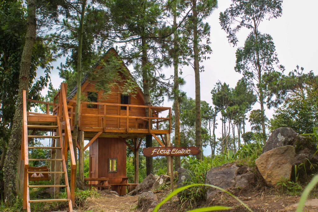 Papandayan Camping Ground Hotel Cileuleuy Kültér fotó
