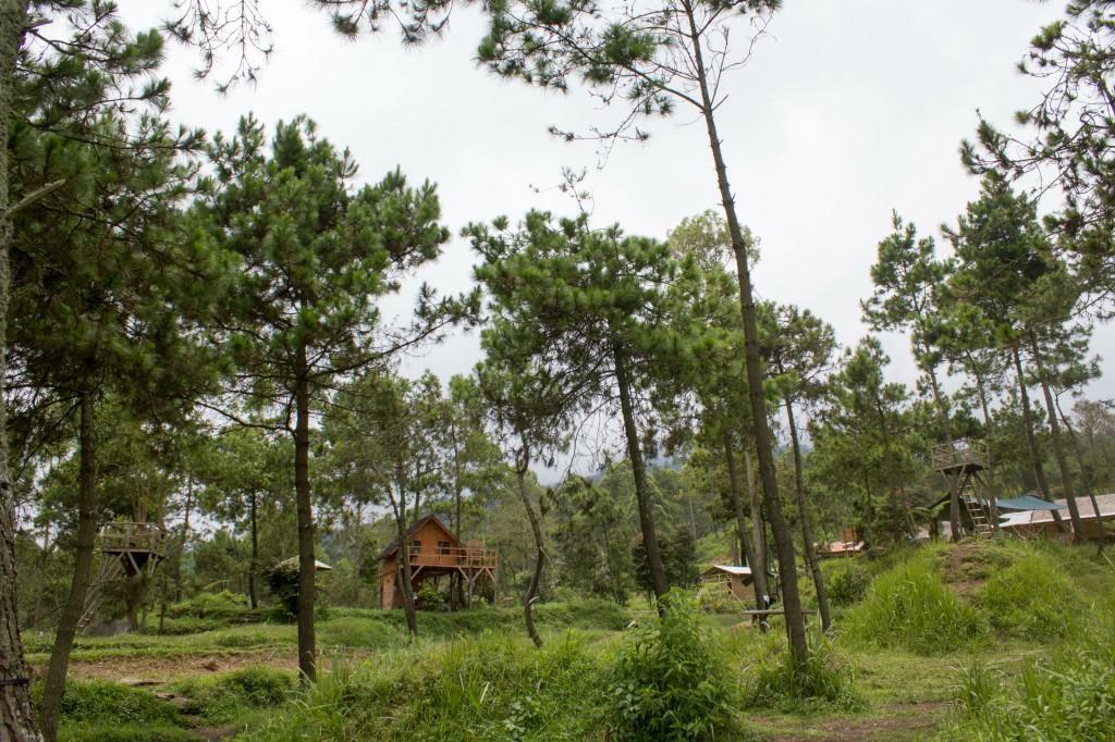 Papandayan Camping Ground Hotel Cileuleuy Kültér fotó