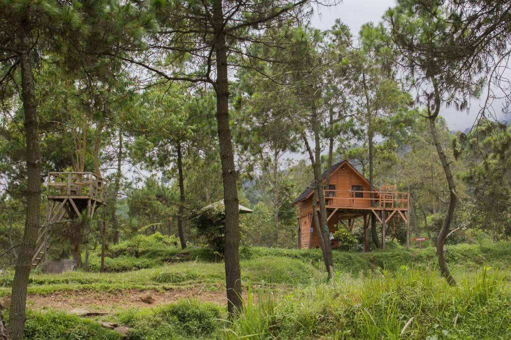 Papandayan Camping Ground Hotel Cileuleuy Kültér fotó