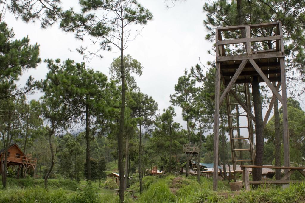 Papandayan Camping Ground Hotel Cileuleuy Kültér fotó