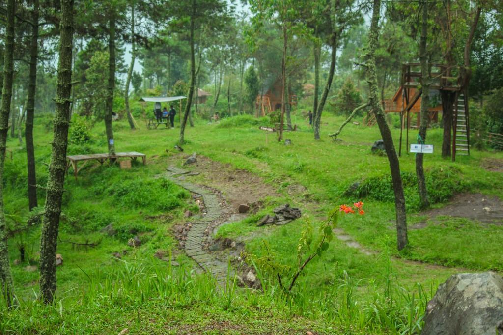 Papandayan Camping Ground Hotel Cileuleuy Kültér fotó